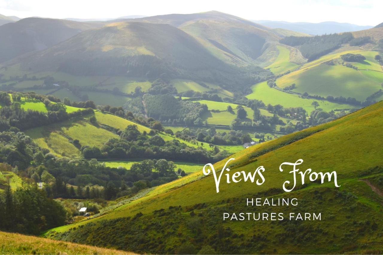 Healing Pastures Farm Llanbrynmair
